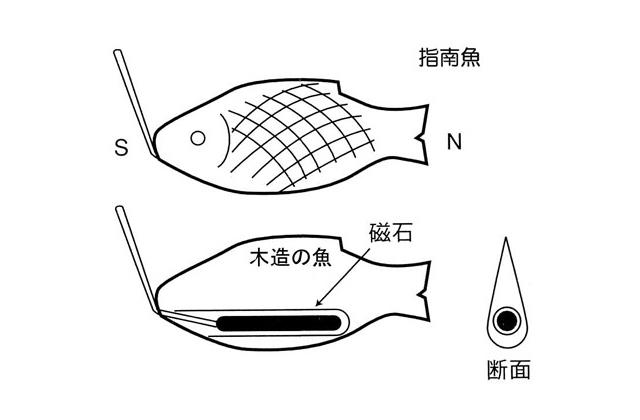 指南魚